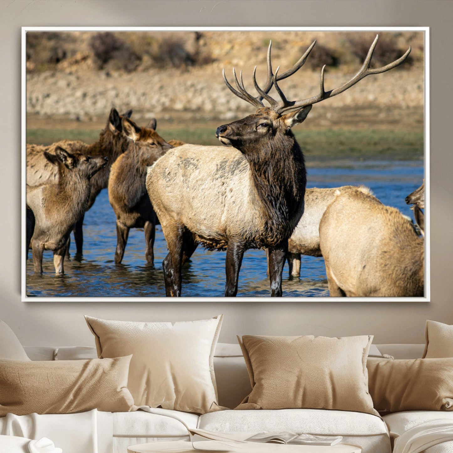 Wild Elk Wall Art Canvas Print – Framed Neutral Wildlife