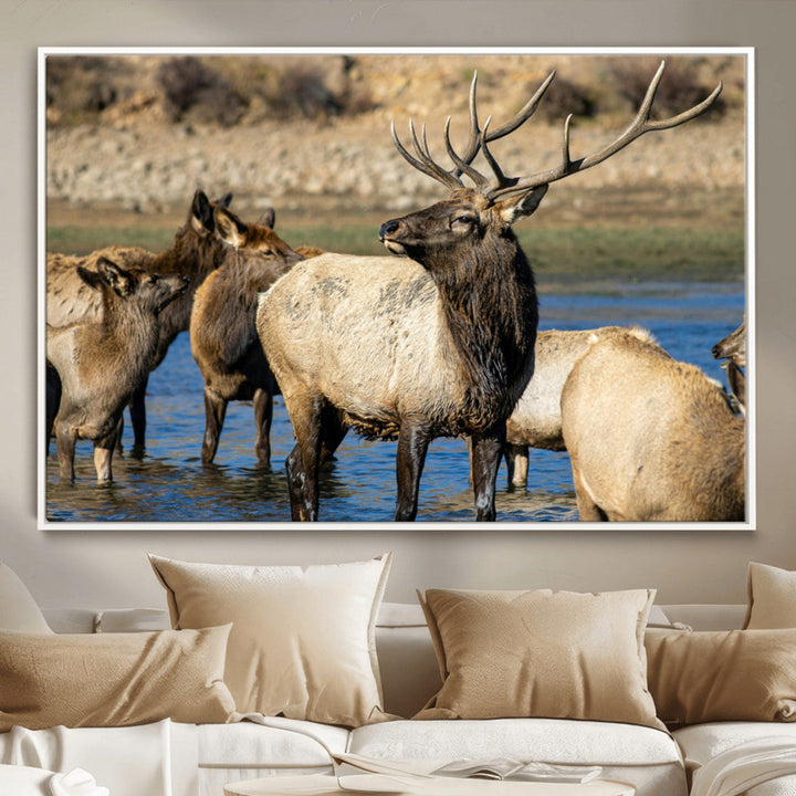 Wild Elk Wall Art Canvas Print – Framed Neutral Wildlife