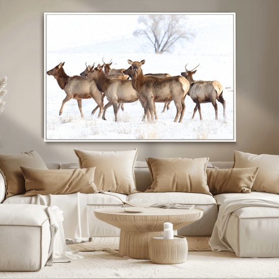Snowy Elk Herd Wall Art Canvas Print – Majestic Winter