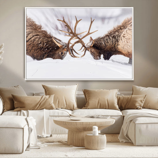 Dramatic Elk Antler Battle Wall Art Canvas Print – elk
