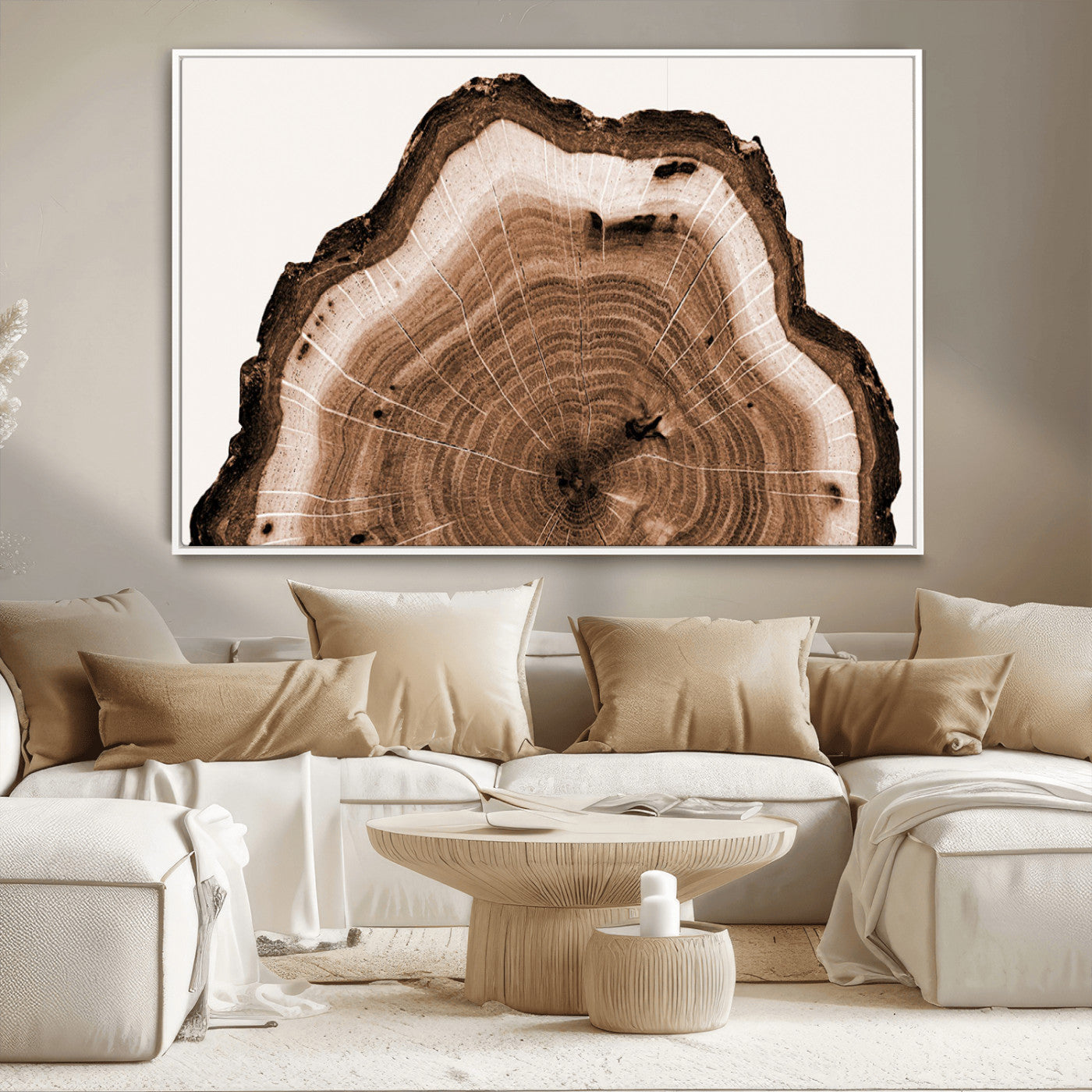 Rustic Wood Rings Wall Art | Nature-Inspired Tree Ring