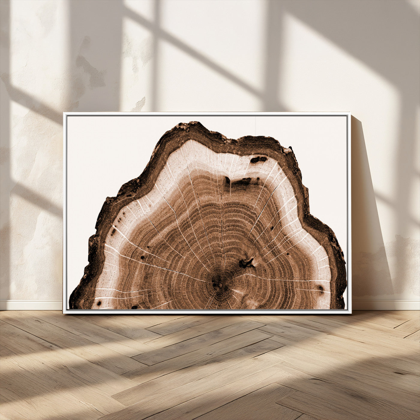 Rustic Wood Rings Wall Art | Nature-Inspired Tree Ring