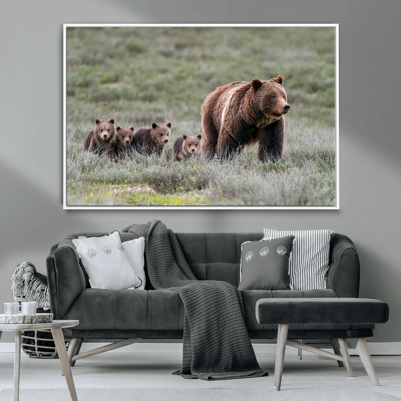 Wildlife Photography of 399 Grizzly Bear Cubs | Queen of the