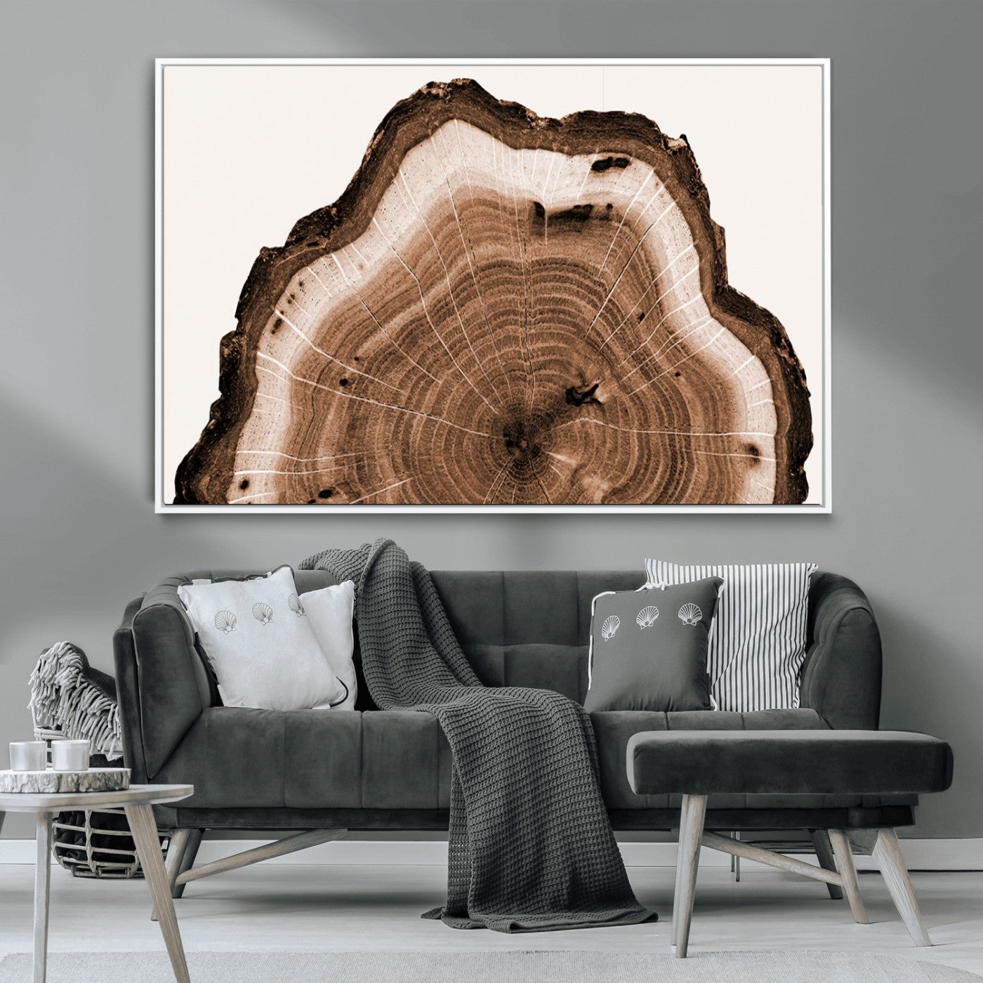 Rustic Wood Rings Wall Art | Nature-Inspired Tree Ring