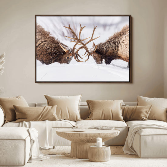 Dramatic Elk Antler Battle Wall Art Canvas Print – elk