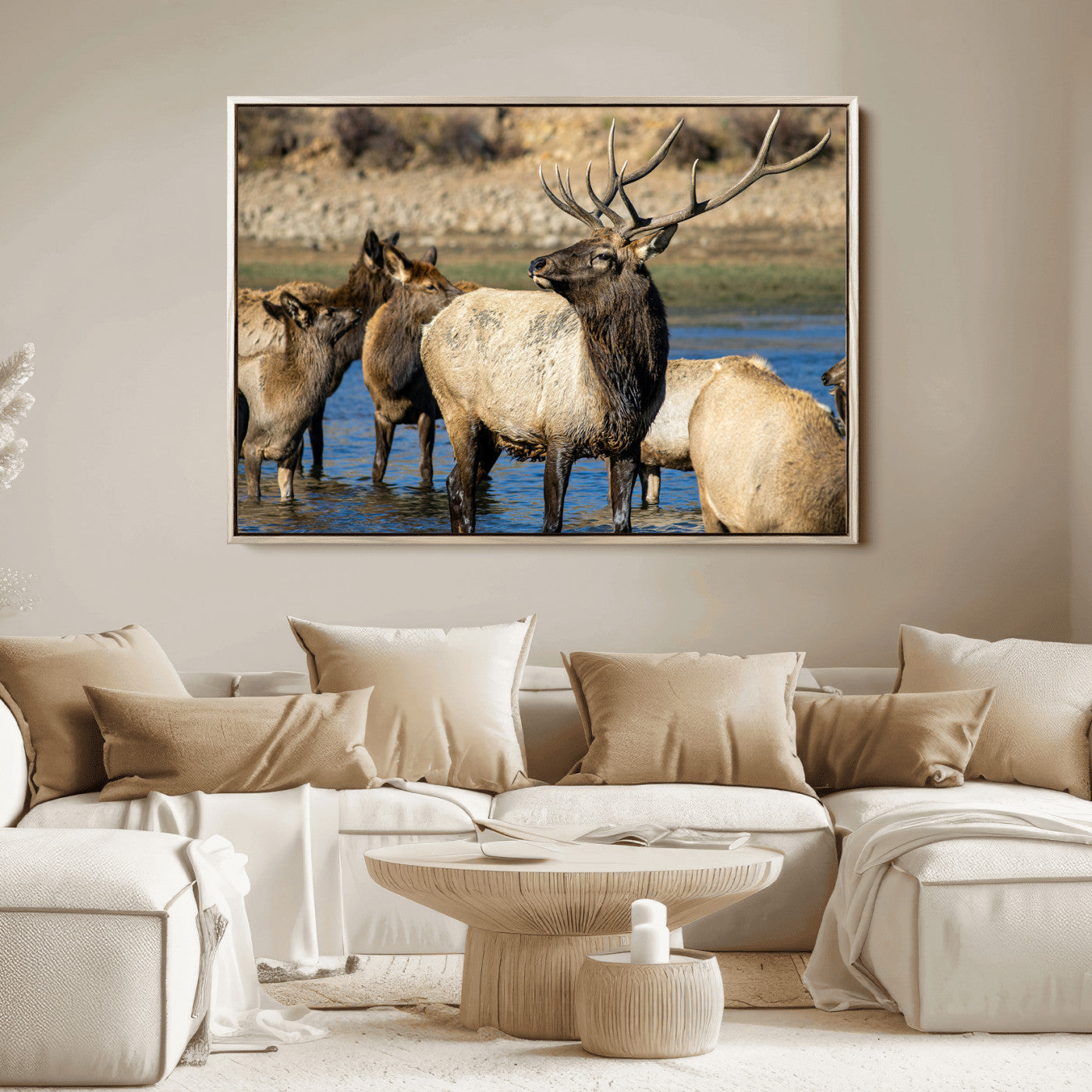 Wild Elk Wall Art Canvas Print – Framed Neutral Wildlife