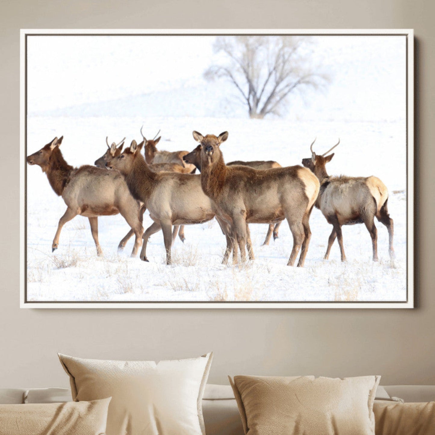 Snowy Elk Herd Wall Art Canvas Print – Majestic Winter