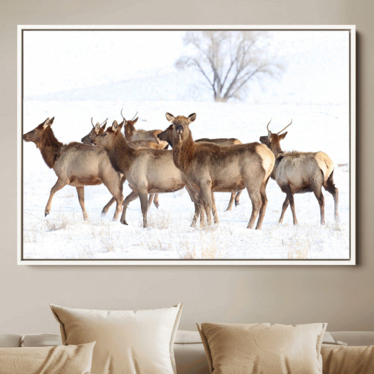 Snowy Elk Herd Wall Art Canvas Print – Majestic Winter