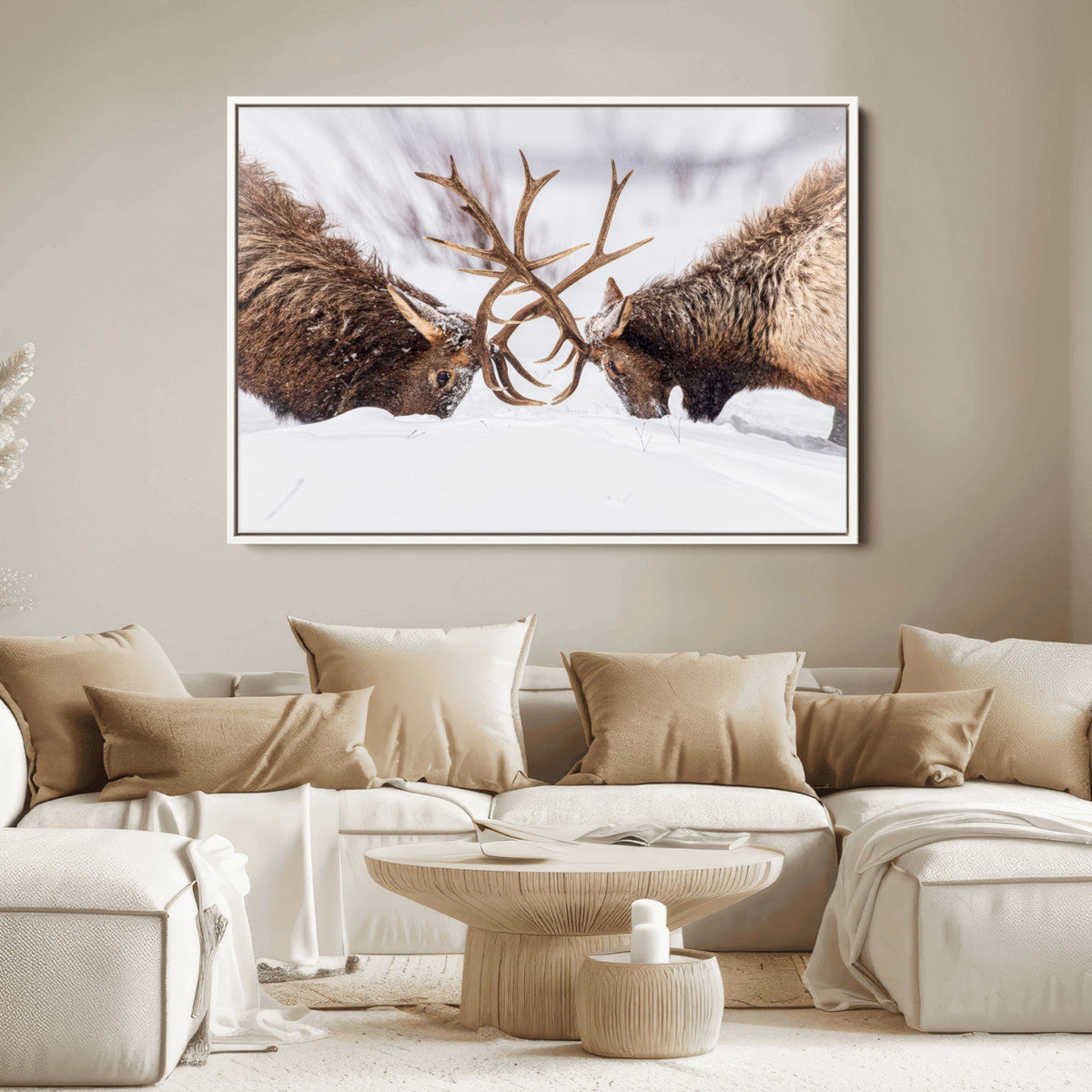 Dramatic Elk Antler Battle Wall Art Canvas Print – elk