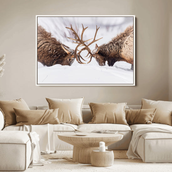 Dramatic Elk Antler Battle Wall Art Canvas Print – elk