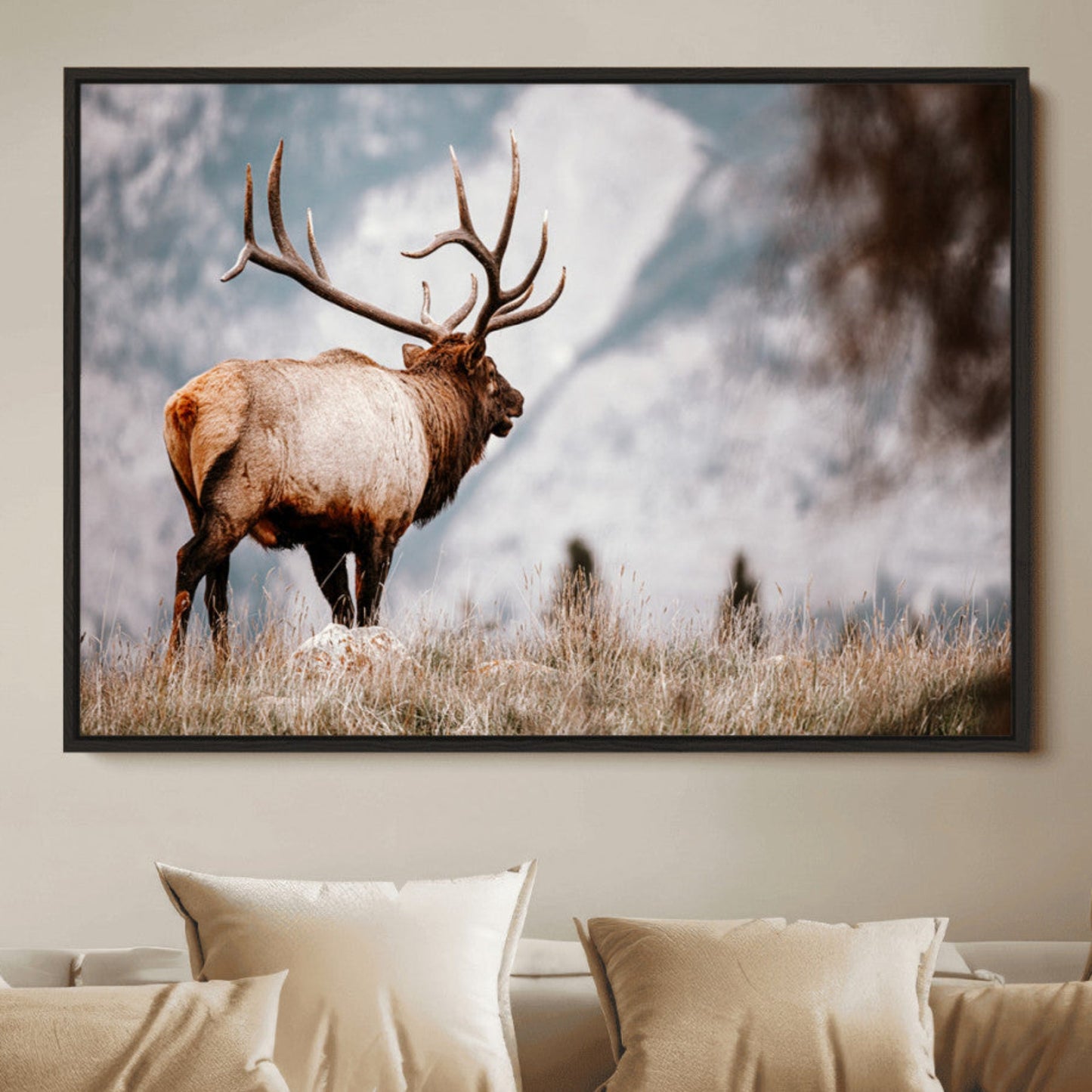 Elk Photography Wall Art Canvas Print – Framed Mountain