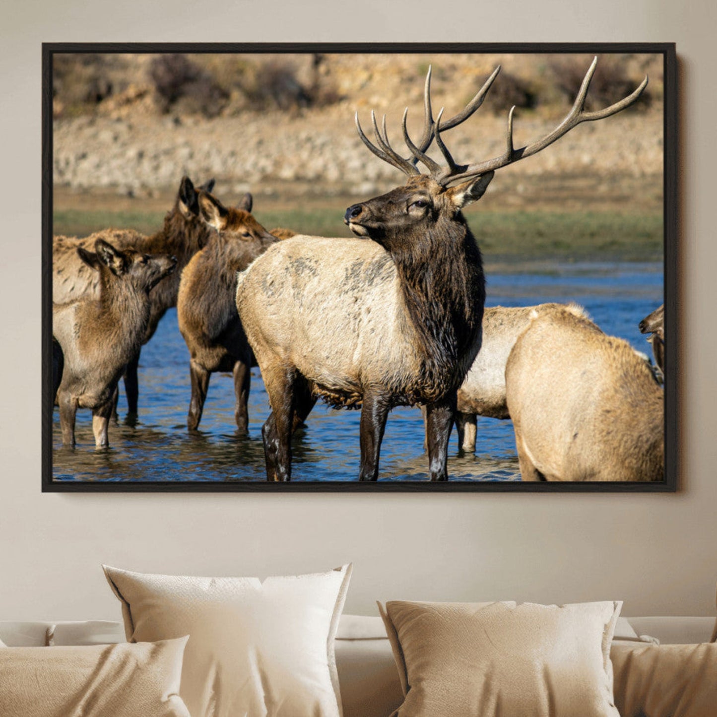 Wild Elk Wall Art Canvas Print – Framed Neutral Wildlife