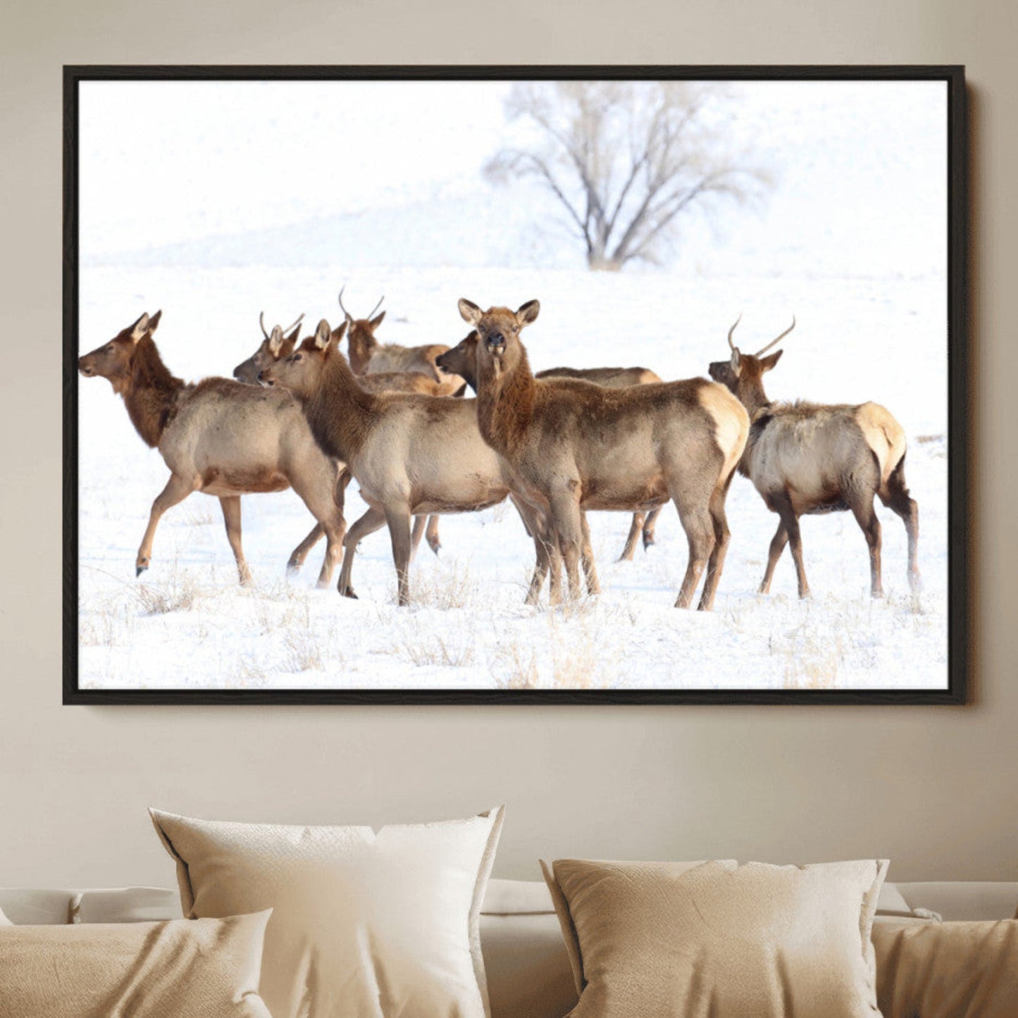 Snowy Elk Herd Wall Art Canvas Print – Majestic Winter