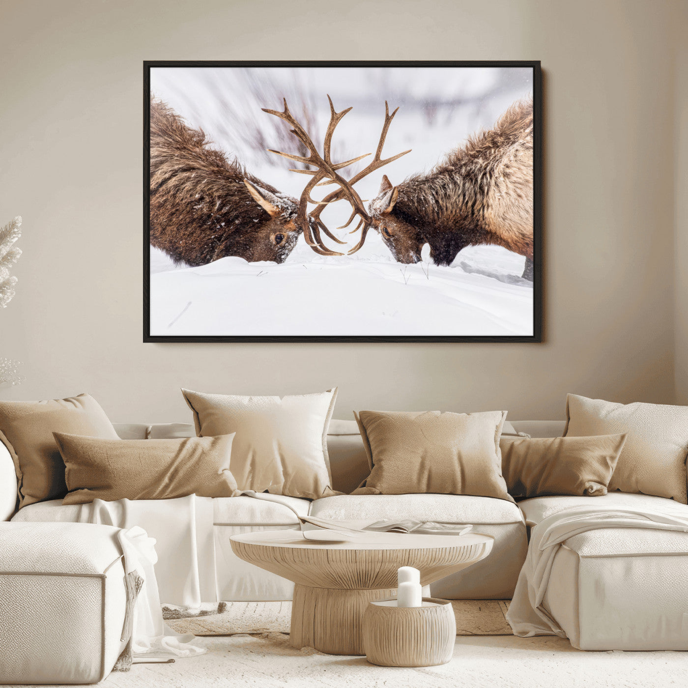 Dramatic Elk Antler Battle Wall Art Canvas Print – elk