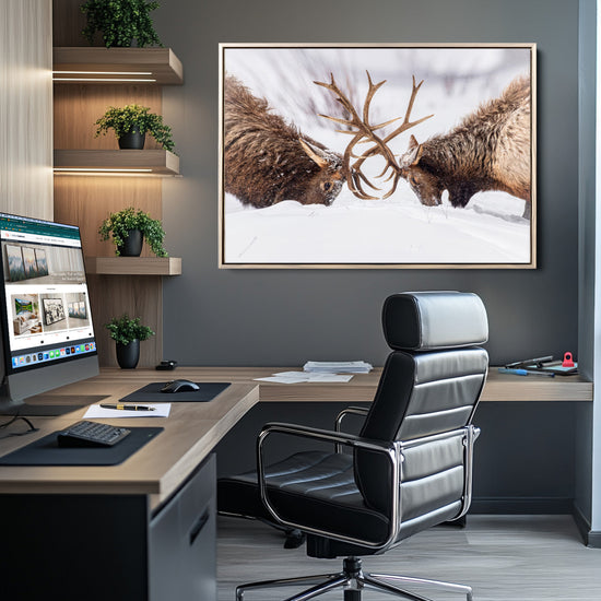 Dramatic Elk Antler Battle Wall Art Canvas Print – elk