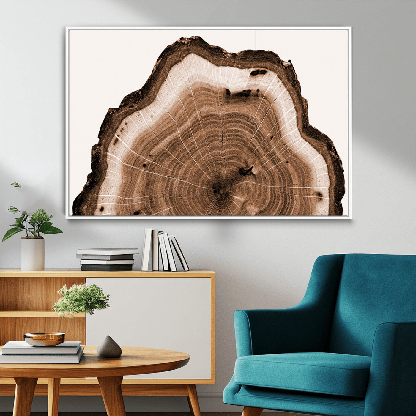 Rustic Wood Rings Wall Art | Nature-Inspired Tree Ring