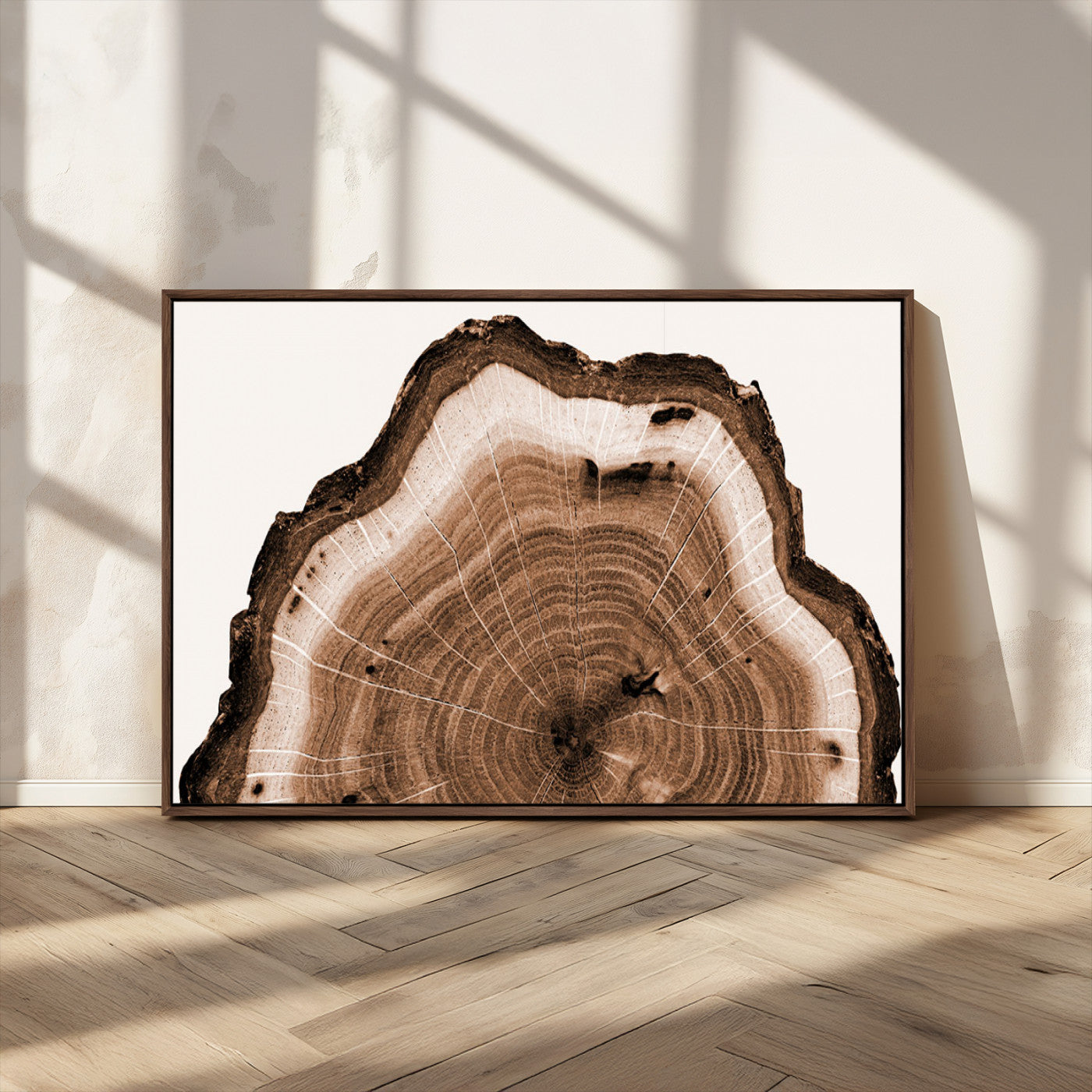 Rustic Wood Rings Wall Art | Nature-Inspired Tree Ring