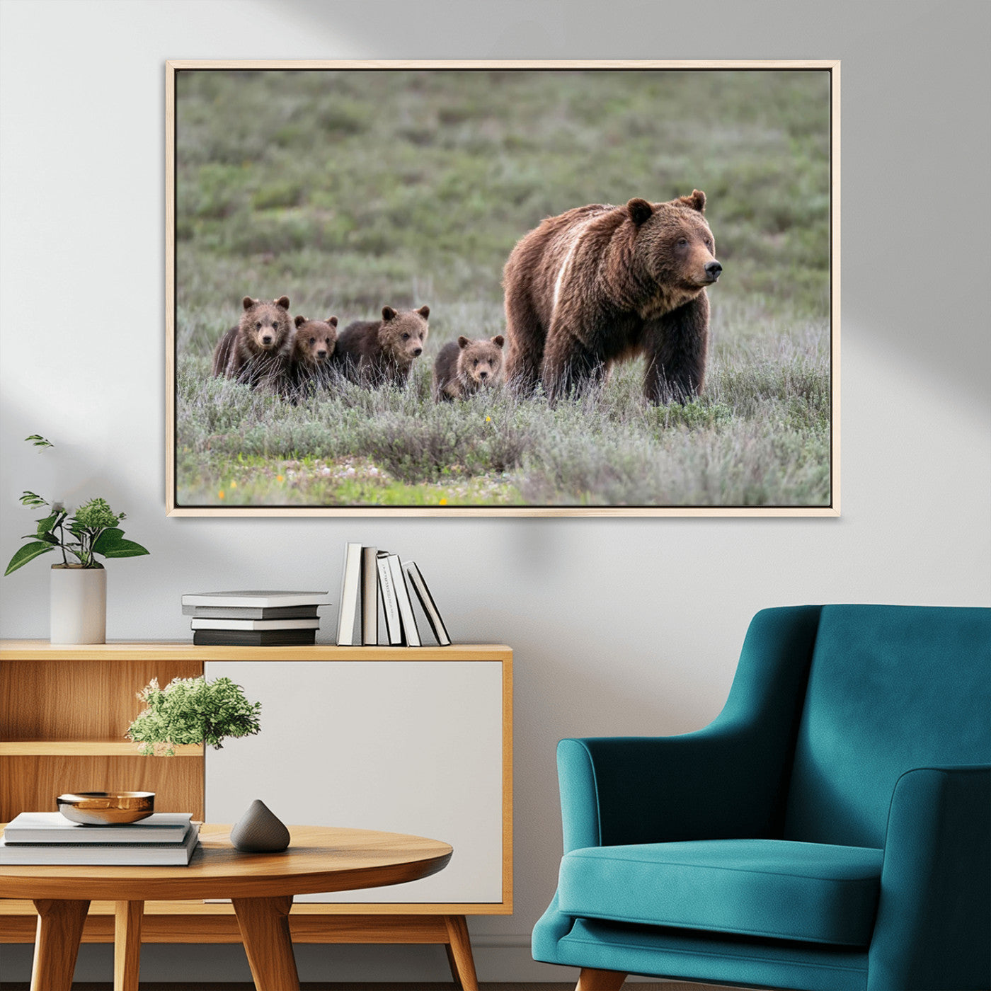 Wildlife Photography of 399 Grizzly Bear Cubs | Queen of the