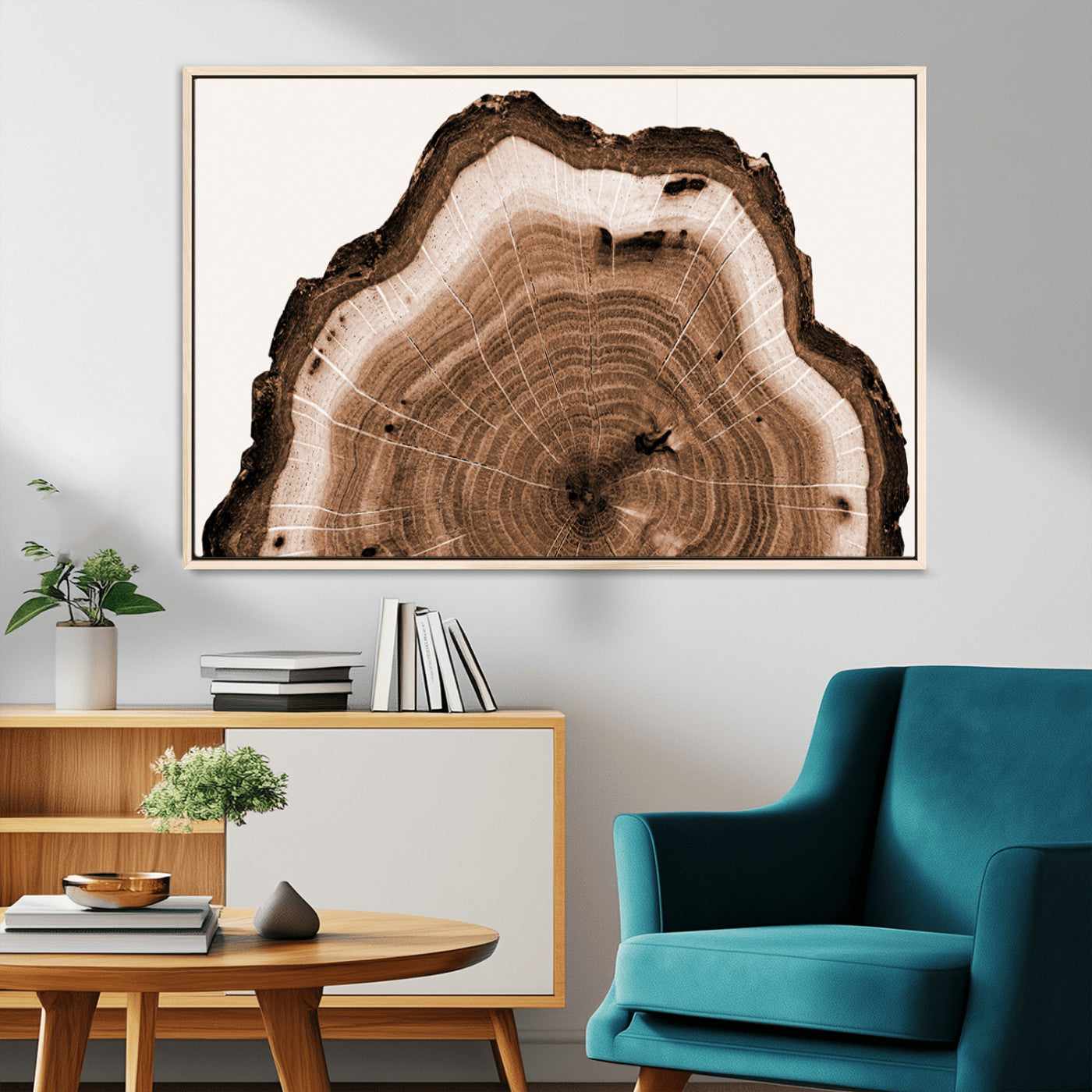 Rustic Wood Rings Wall Art | Nature-Inspired Tree Ring