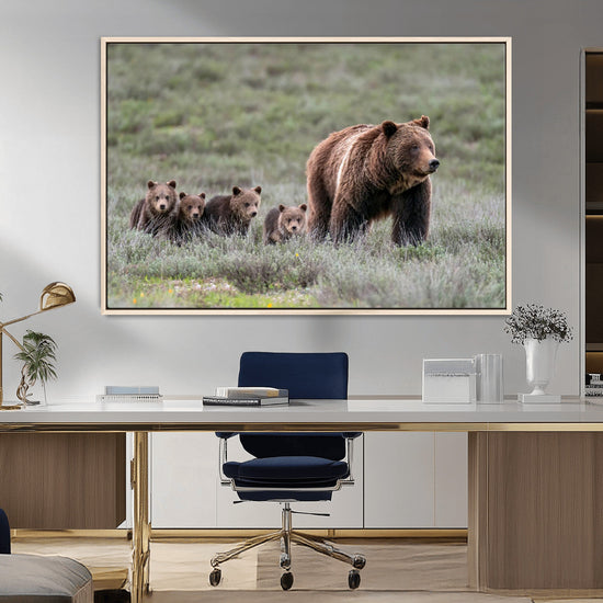 Wildlife Photography of 399 Grizzly Bear Cubs | Queen of the