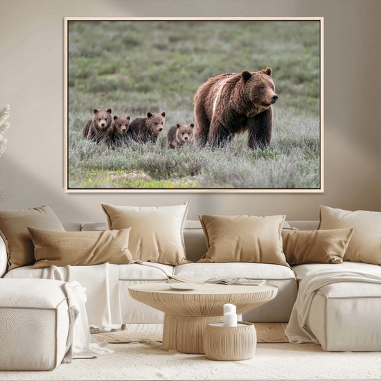 Wildlife Photography of 399 Grizzly Bear Cubs | Queen of the