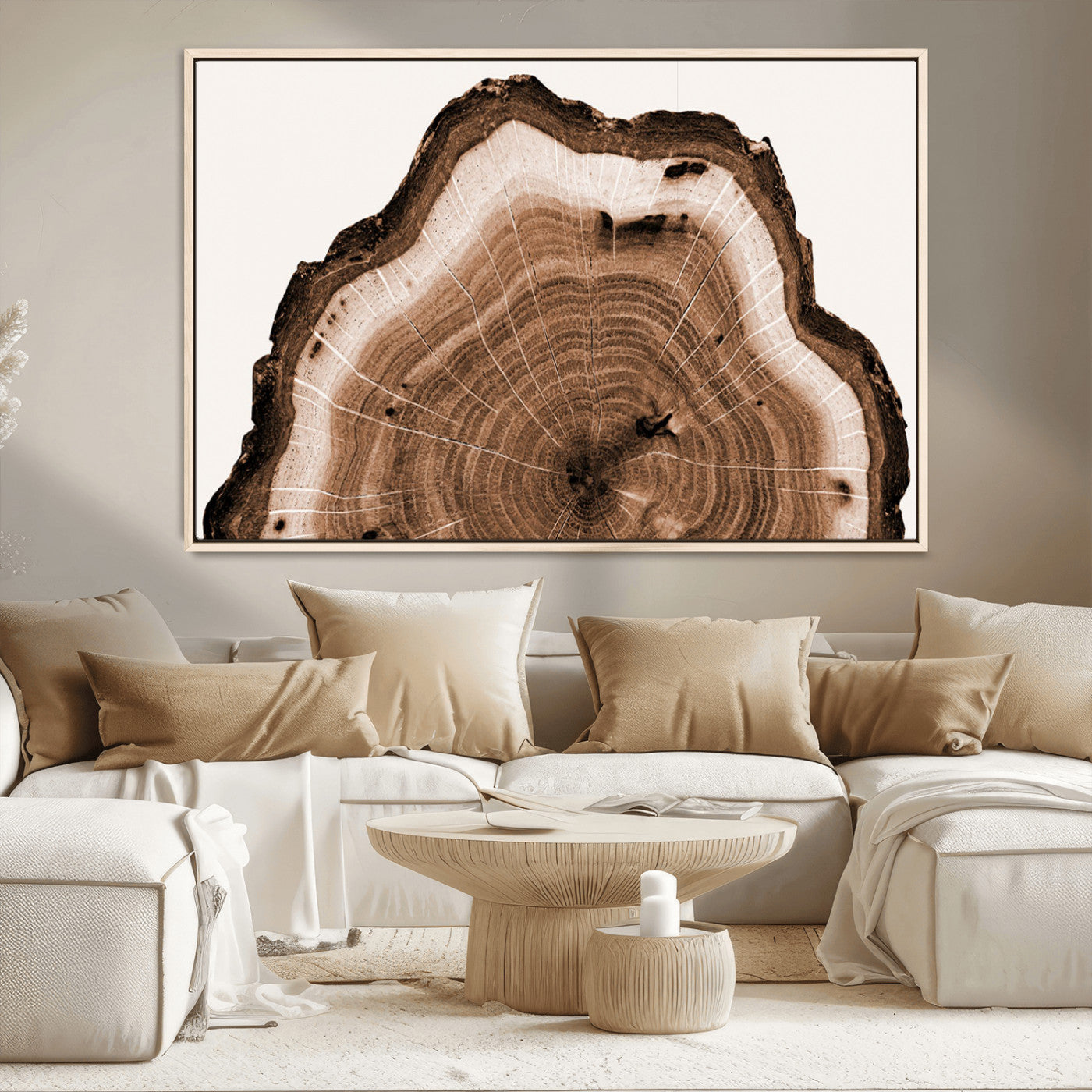 Rustic Wood Rings Wall Art | Nature-Inspired Tree Ring
