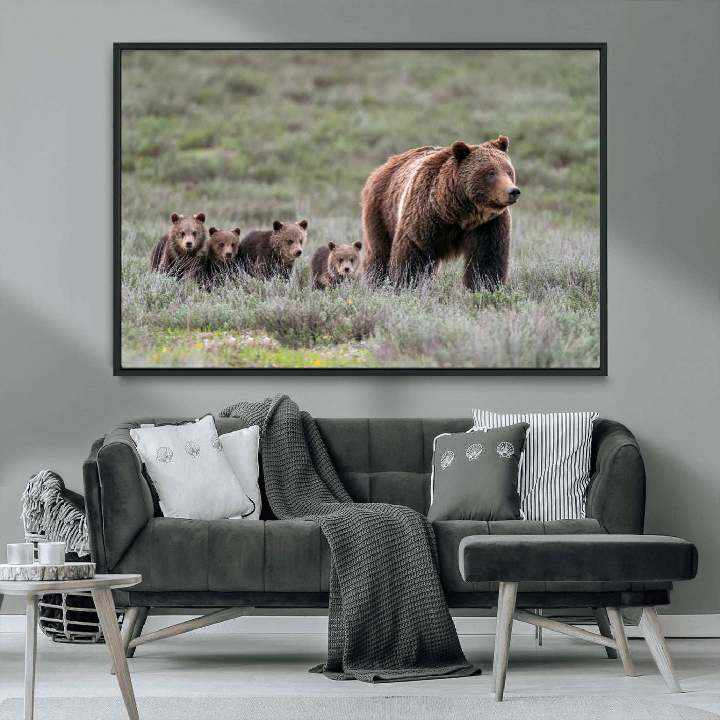 Wildlife Photography of 399 Grizzly Bear Cubs | Queen of the