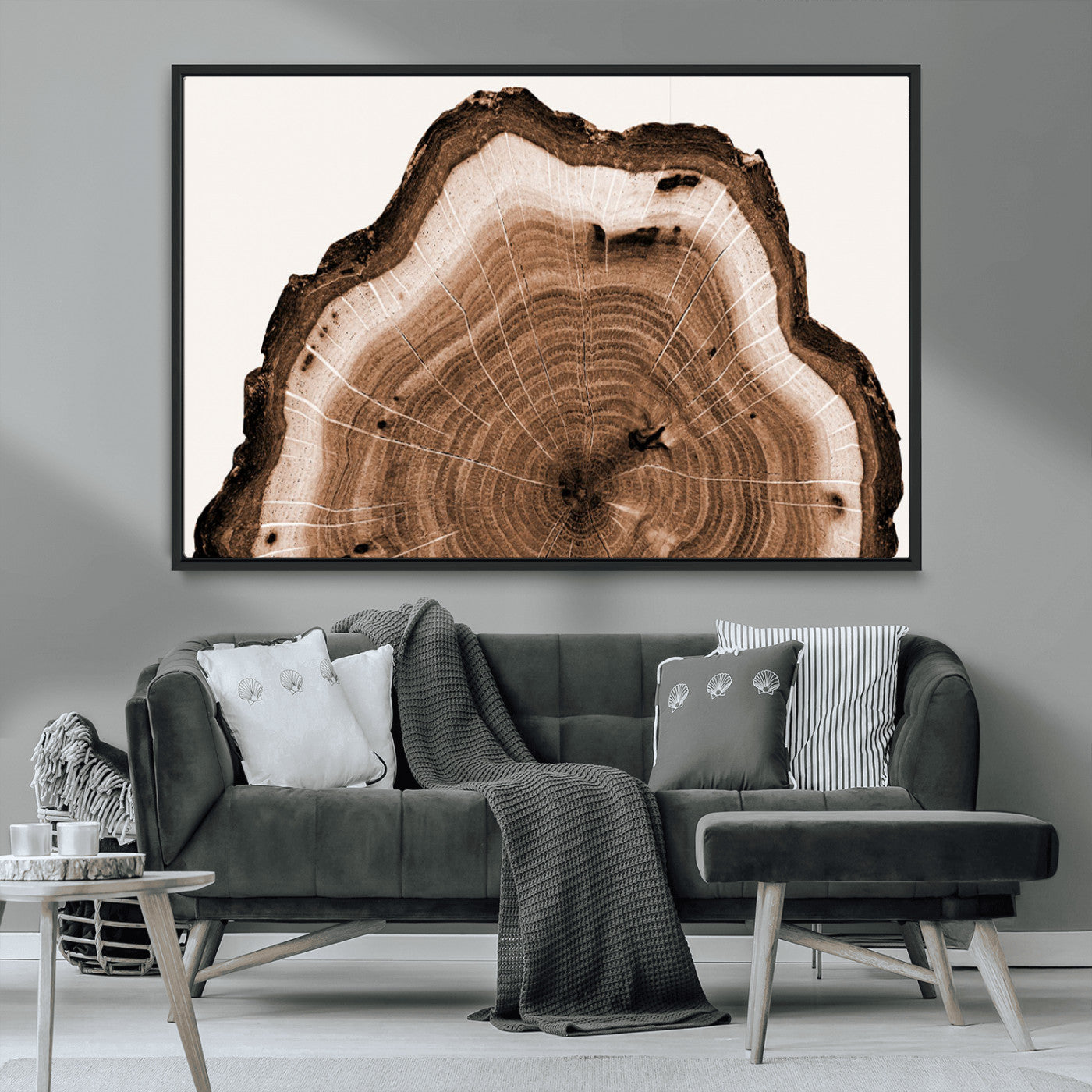 Rustic Wood Rings Wall Art | Nature-Inspired Tree Ring