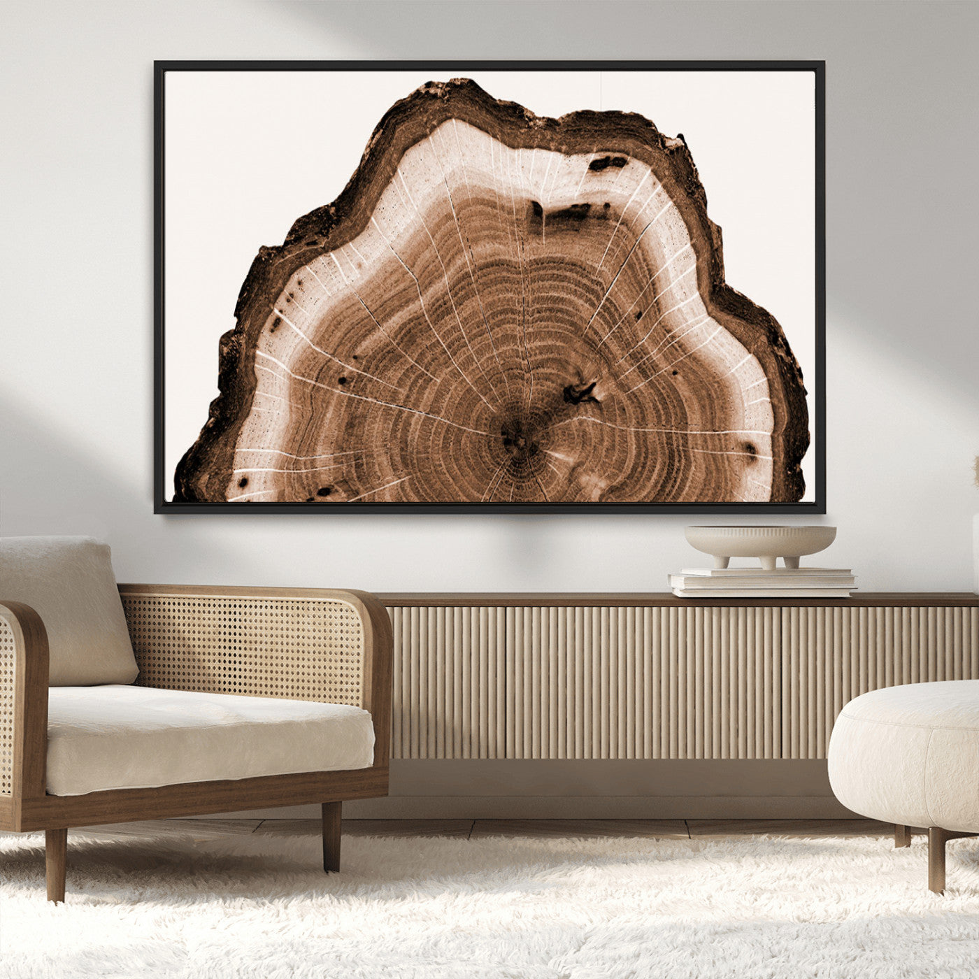 Rustic Wood Rings Wall Art | Nature-Inspired Tree Ring