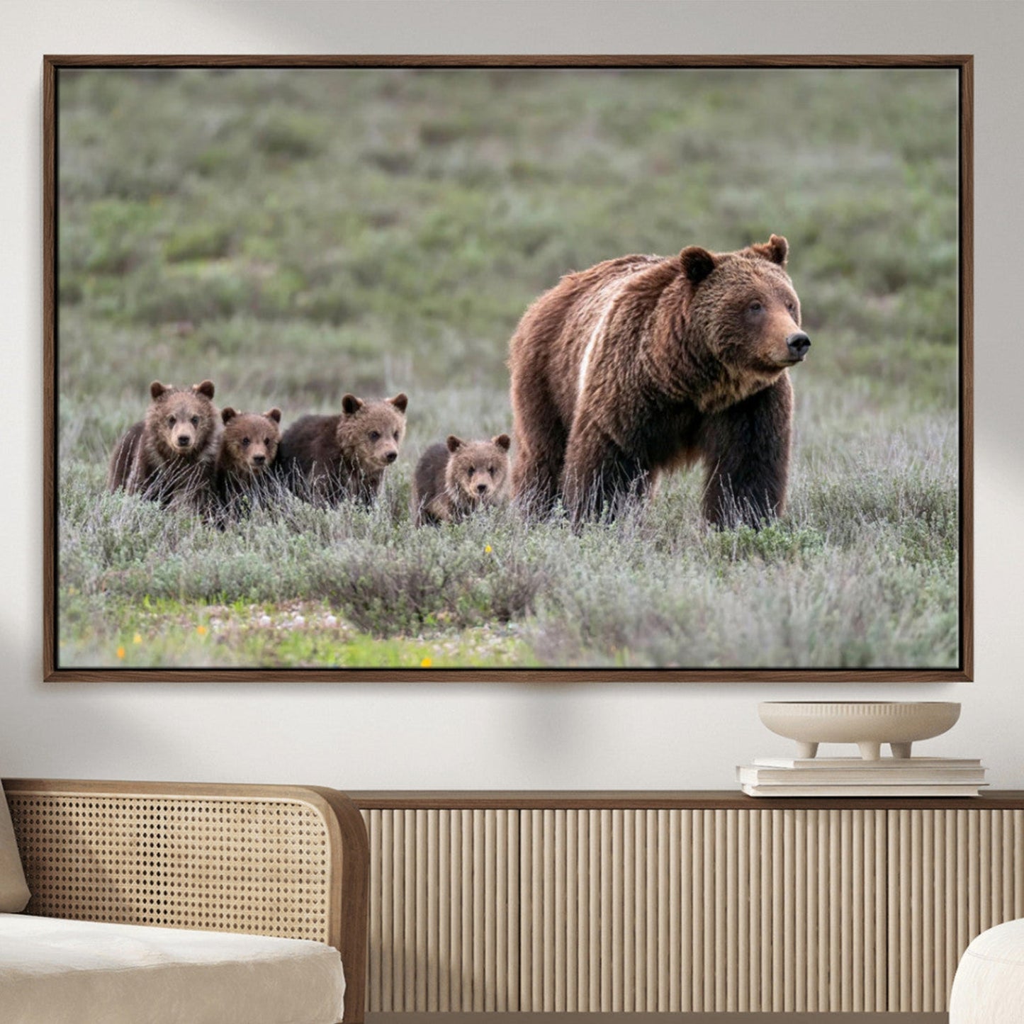 Wildlife Photography of 399 Grizzly Bear Cubs | Queen of the