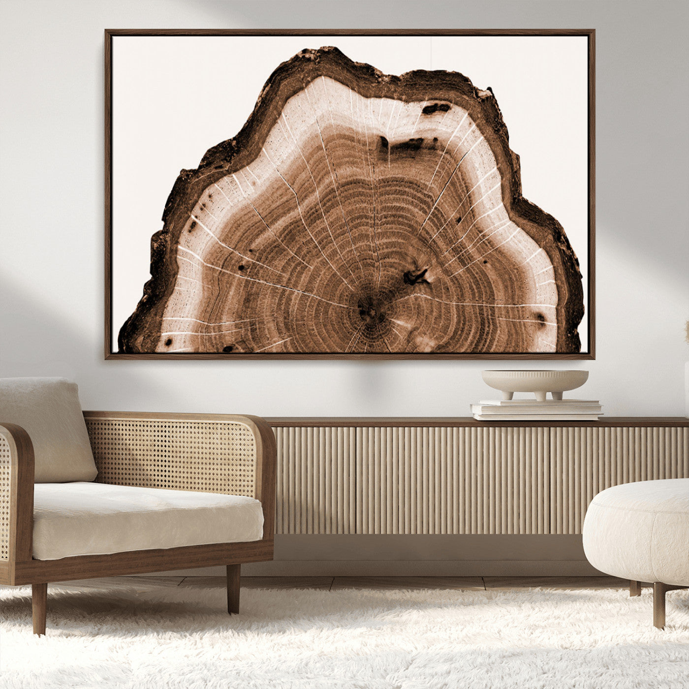 Rustic Wood Rings Wall Art | Nature-Inspired Tree Ring