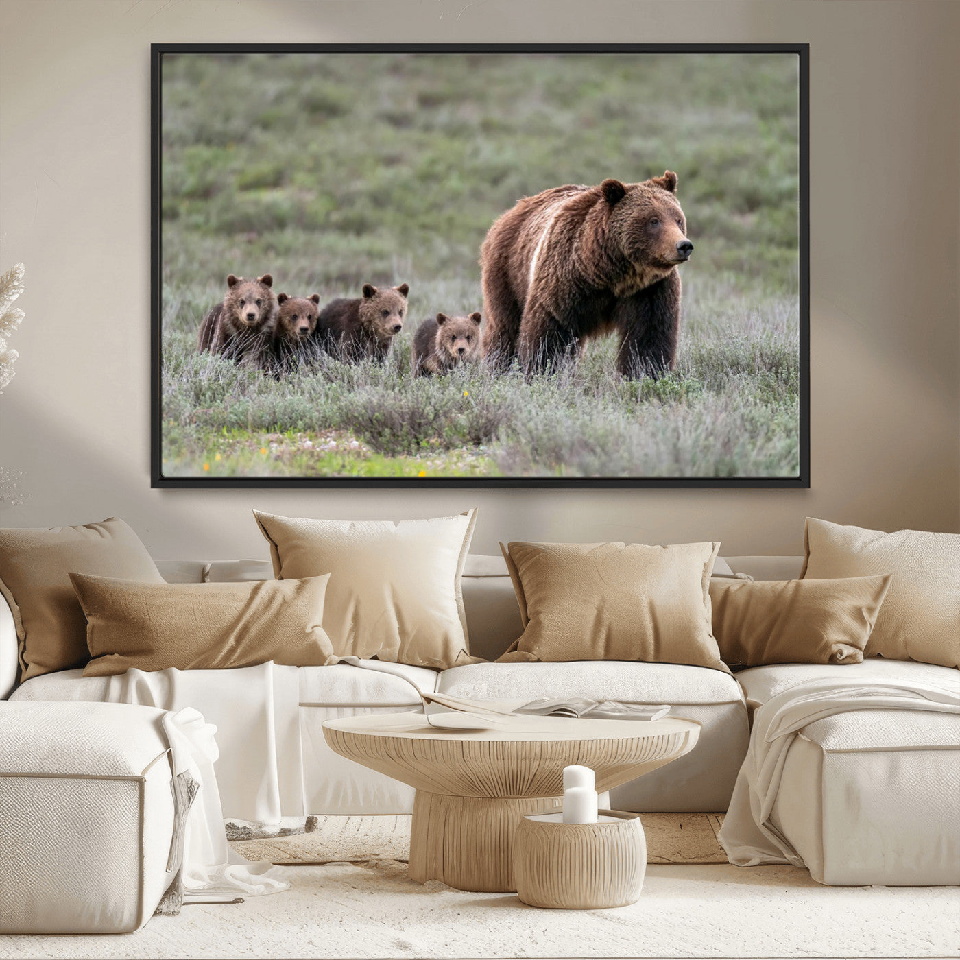 Wildlife Photography of 399 Grizzly Bear Cubs | Queen of the