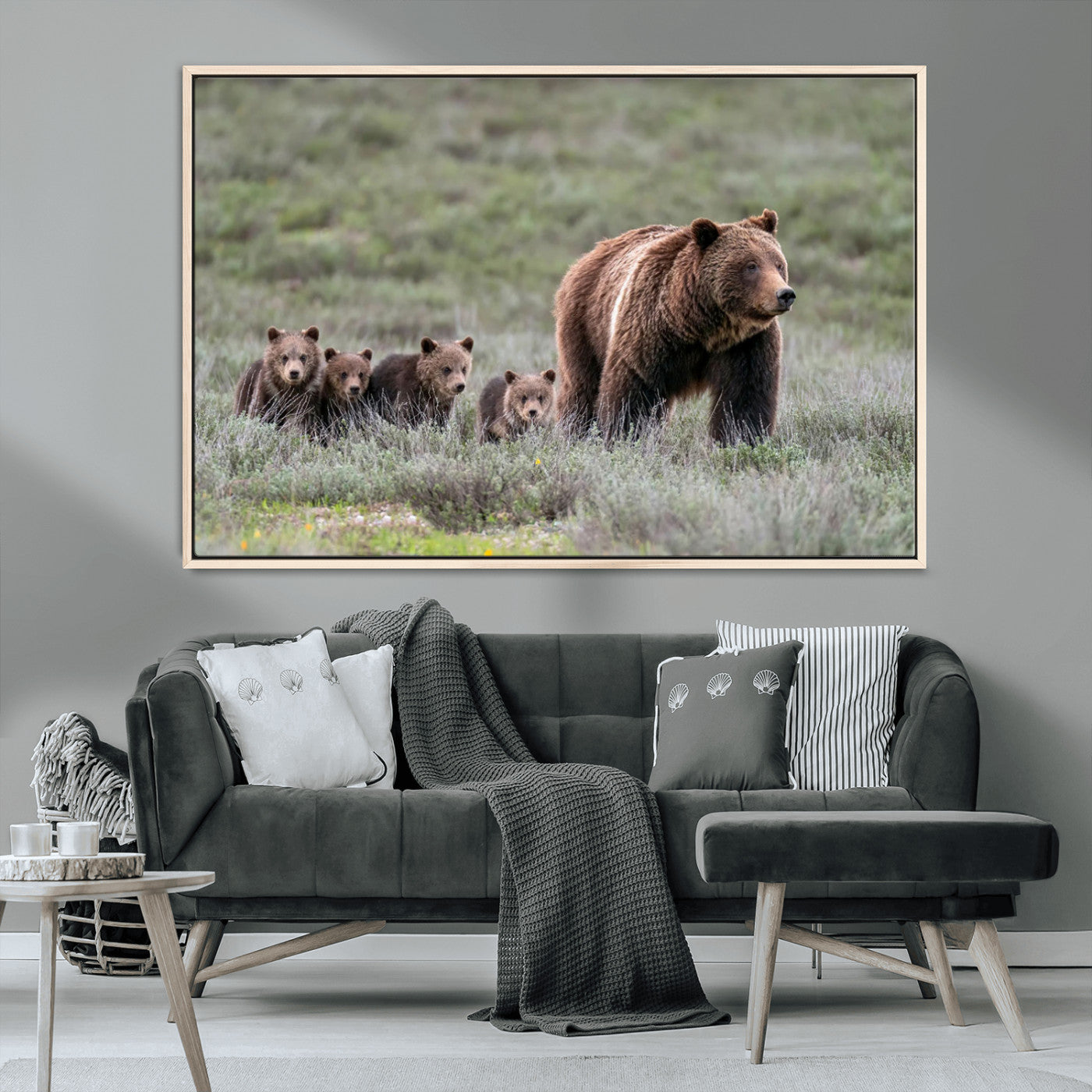 Wildlife Photography of 399 Grizzly Bear Cubs | Queen of the