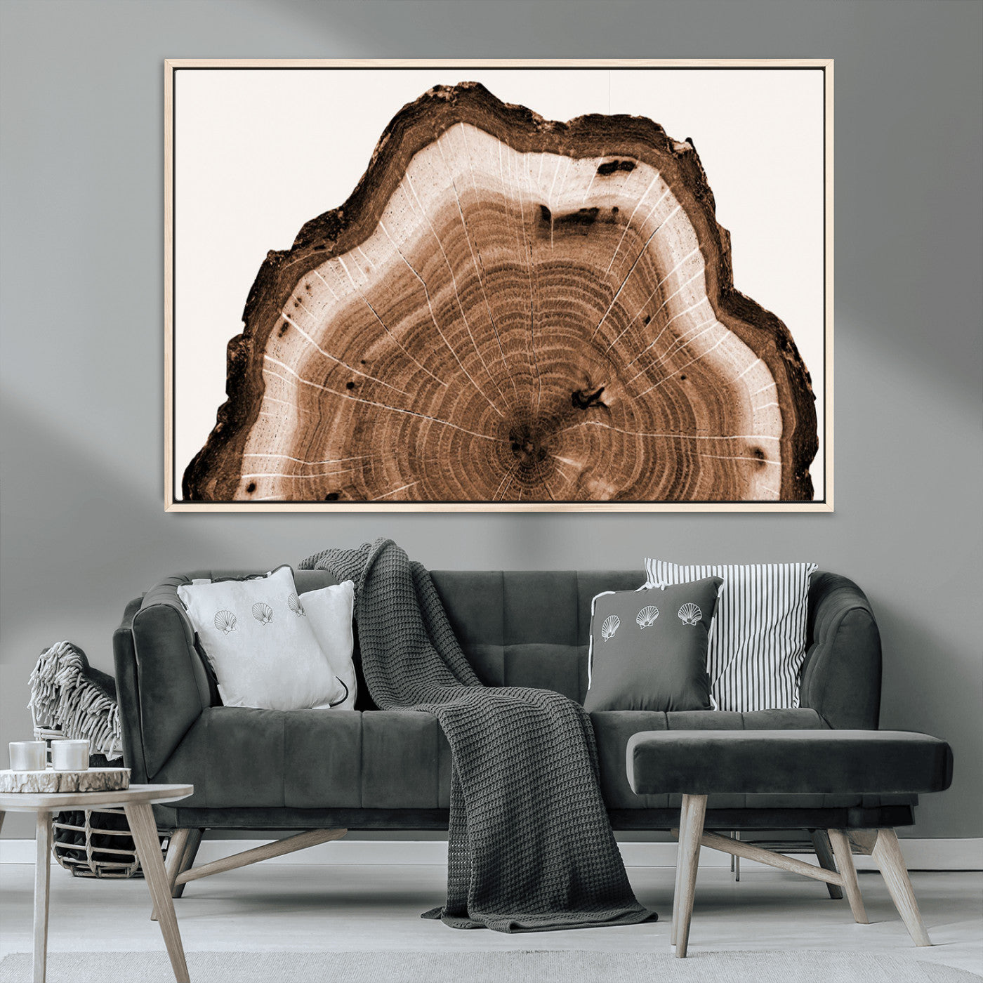 Rustic Wood Rings Wall Art | Nature-Inspired Tree Ring