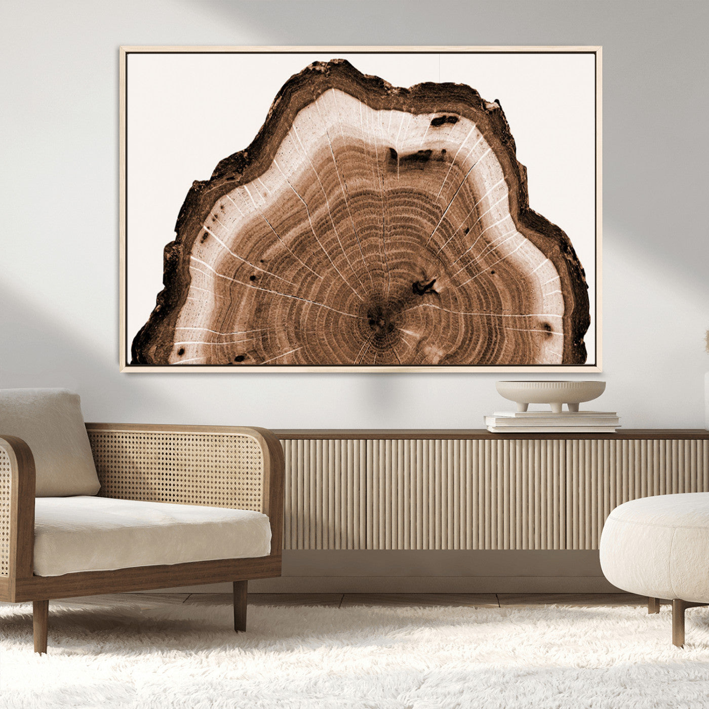 Rustic Wood Rings Wall Art | Nature-Inspired Tree Ring