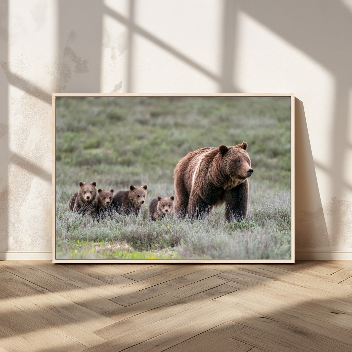 Wildlife Photography of 399 Grizzly Bear Cubs | Queen of the