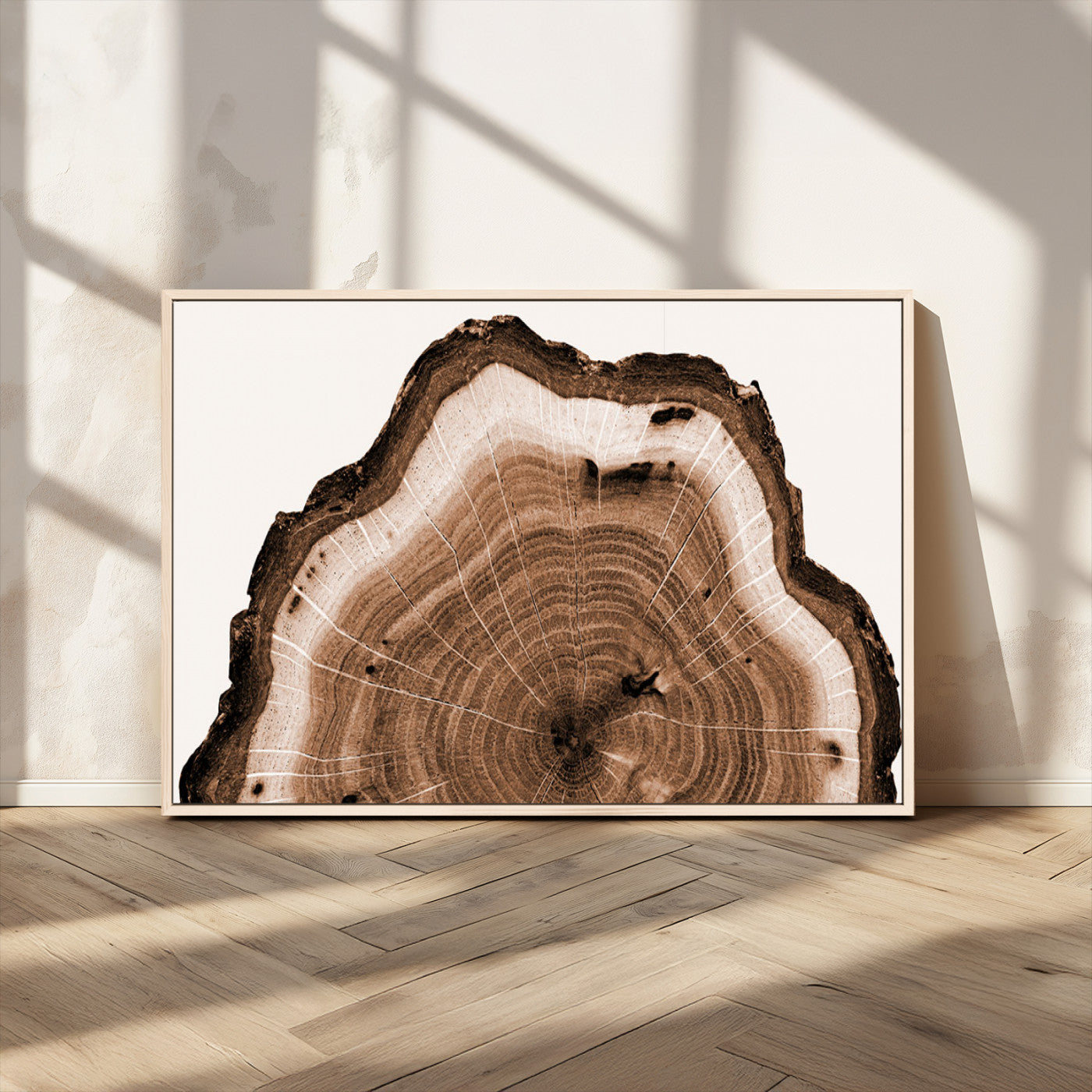 Rustic Wood Rings Wall Art | Nature-Inspired Tree Ring