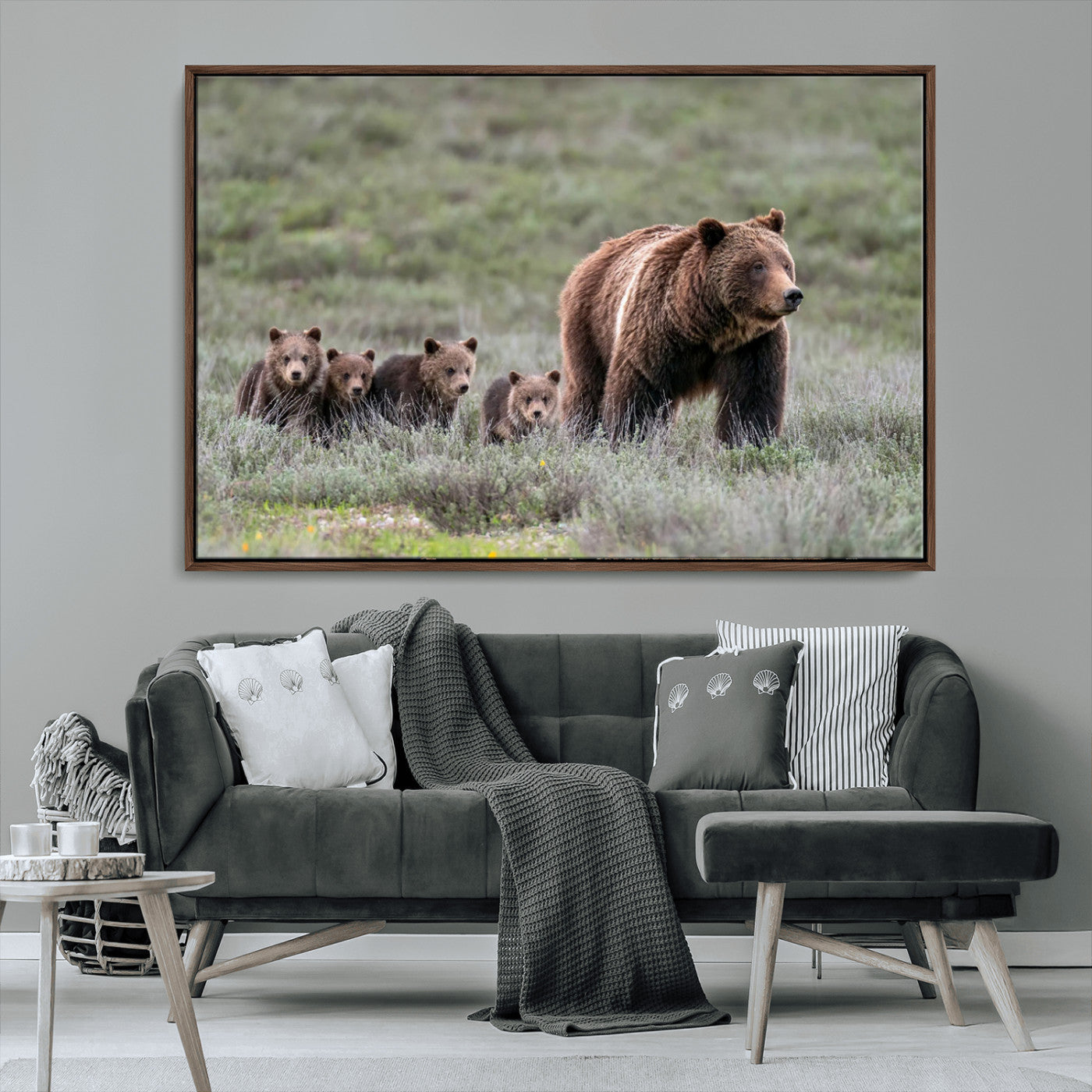 Wildlife Photography of 399 Grizzly Bear Cubs | Queen of the