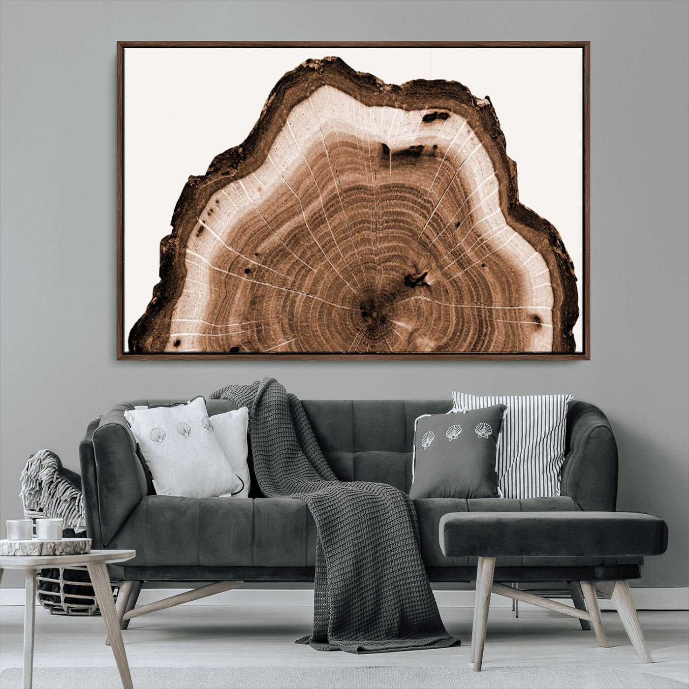 Rustic Wood Rings Wall Art | Nature-Inspired Tree Ring