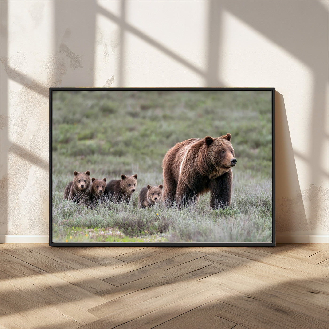 Wildlife Photography of 399 Grizzly Bear Cubs | Queen of the
