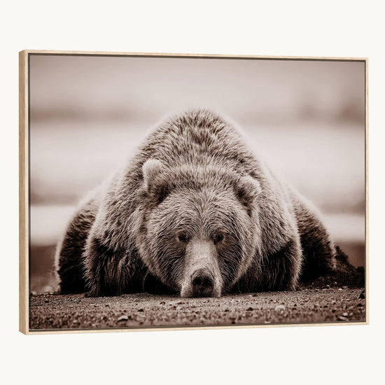 Grizzly Bear Wall Art Print - Bear Canvas Wall Art - Rustic
