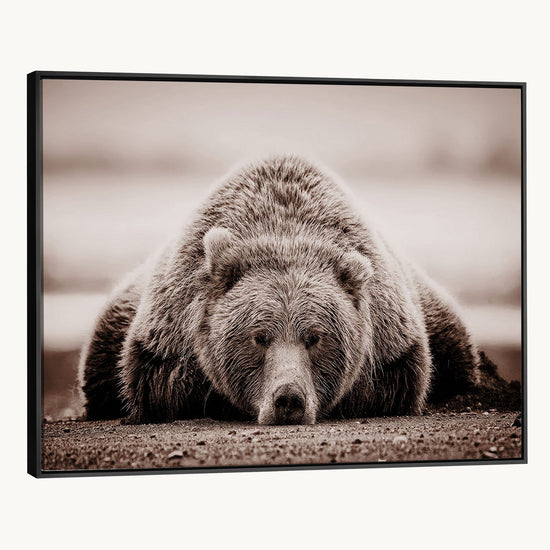 Grizzly Bear Wall Art Print - Bear Canvas Wall Art - Rustic