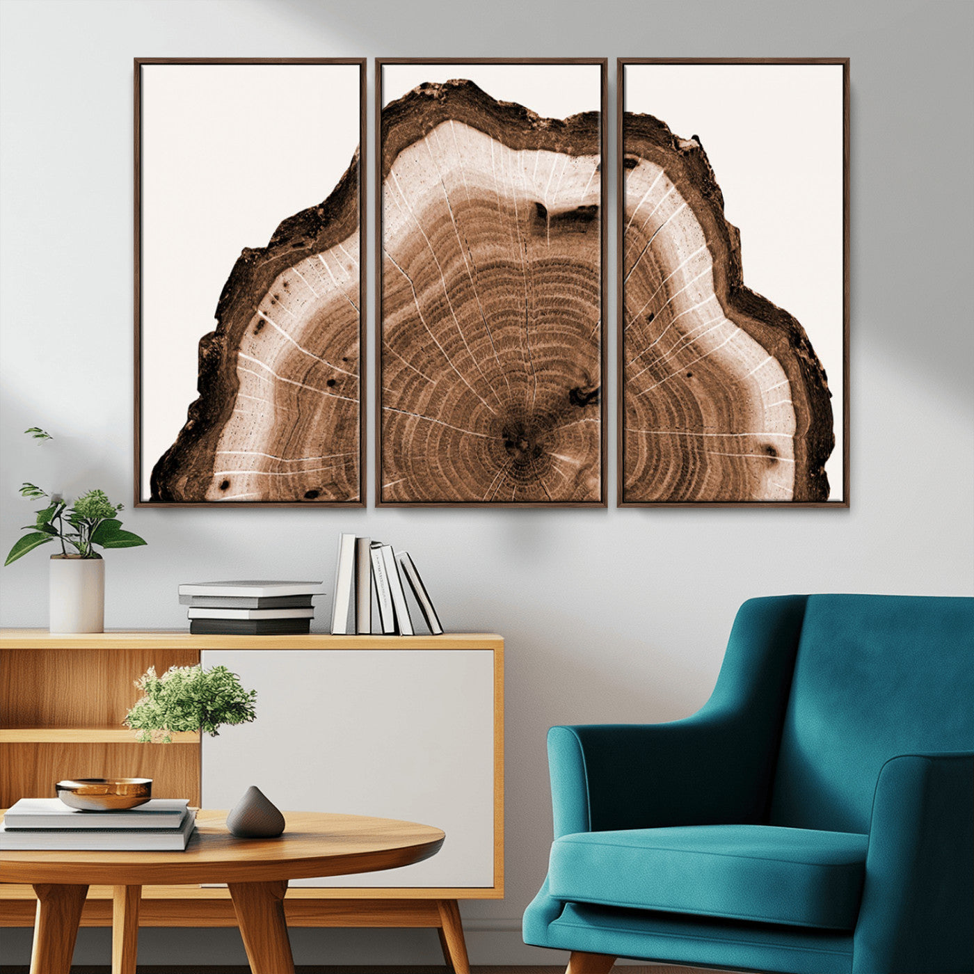 Rustic Wood Rings Wall Art | Nature-Inspired Tree Ring