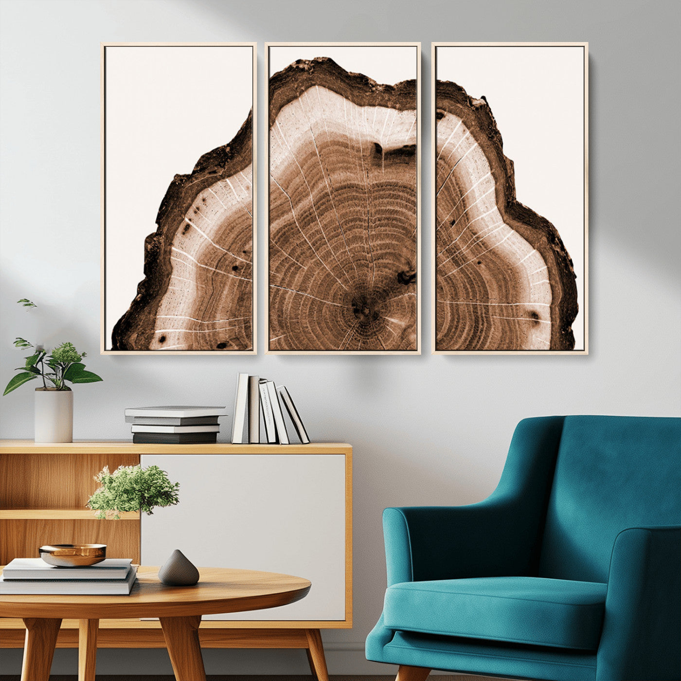 Rustic Wood Rings Wall Art | Nature-Inspired Tree Ring