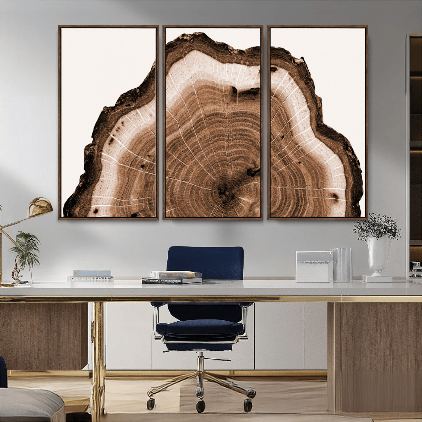 Rustic Wood Rings Wall Art | Nature-Inspired Tree Ring