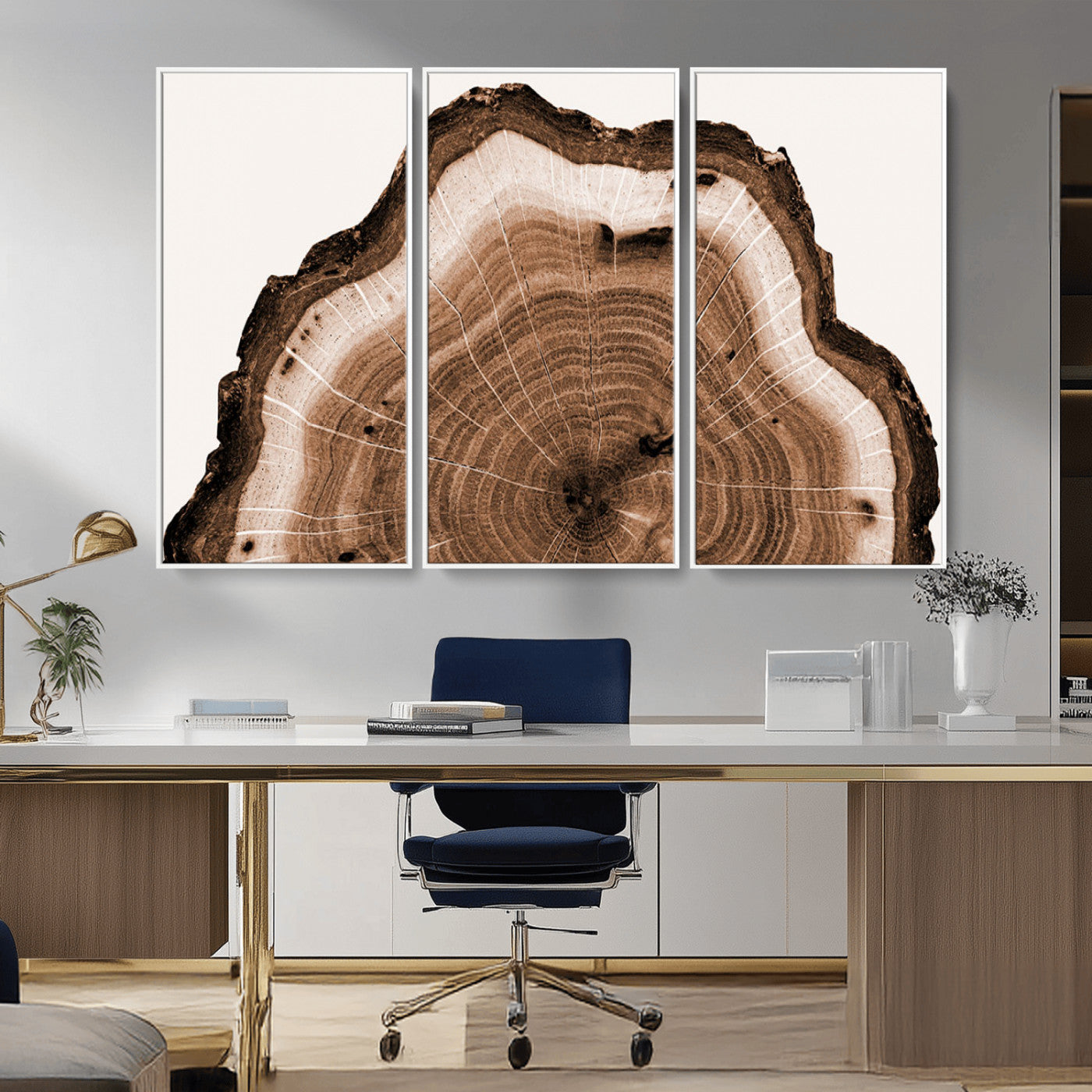 Rustic Wood Rings Wall Art | Nature-Inspired Tree Ring