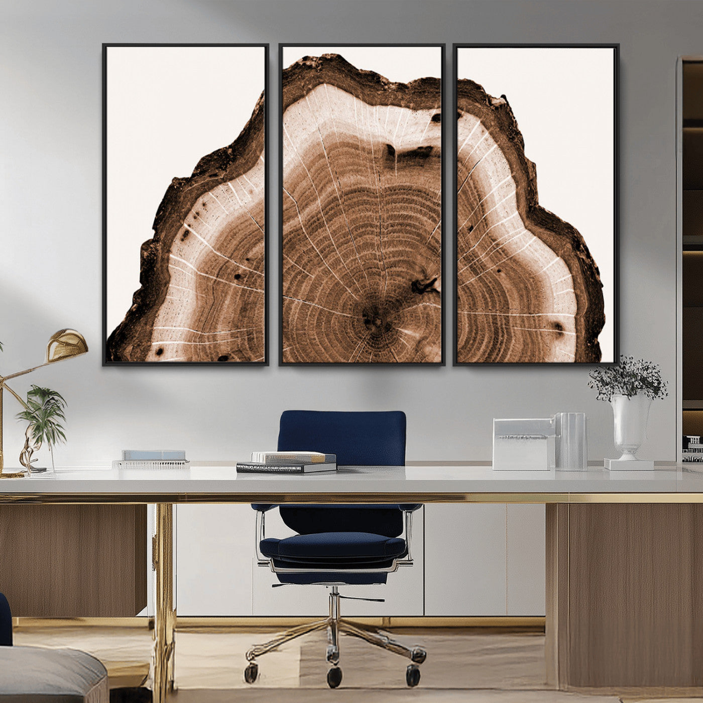 Rustic Wood Rings Wall Art | Nature-Inspired Tree Ring