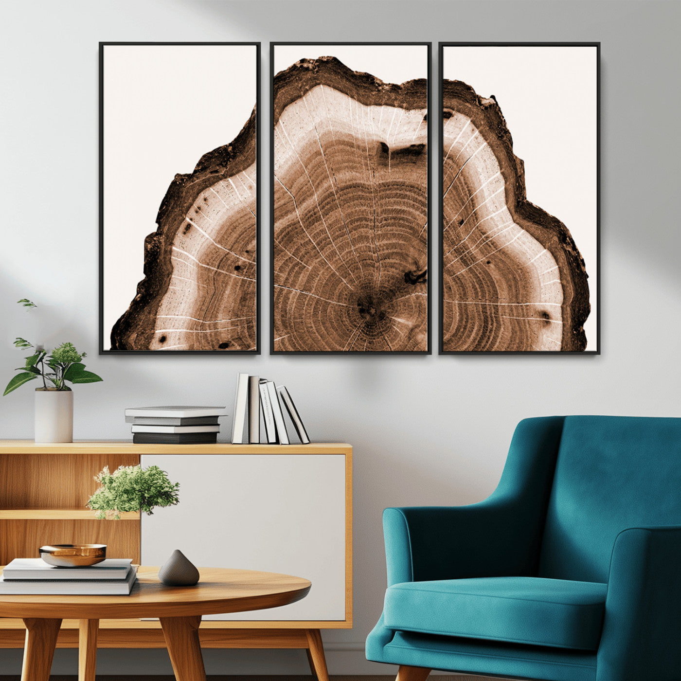 Rustic Wood Rings Wall Art | Nature-Inspired Tree Ring