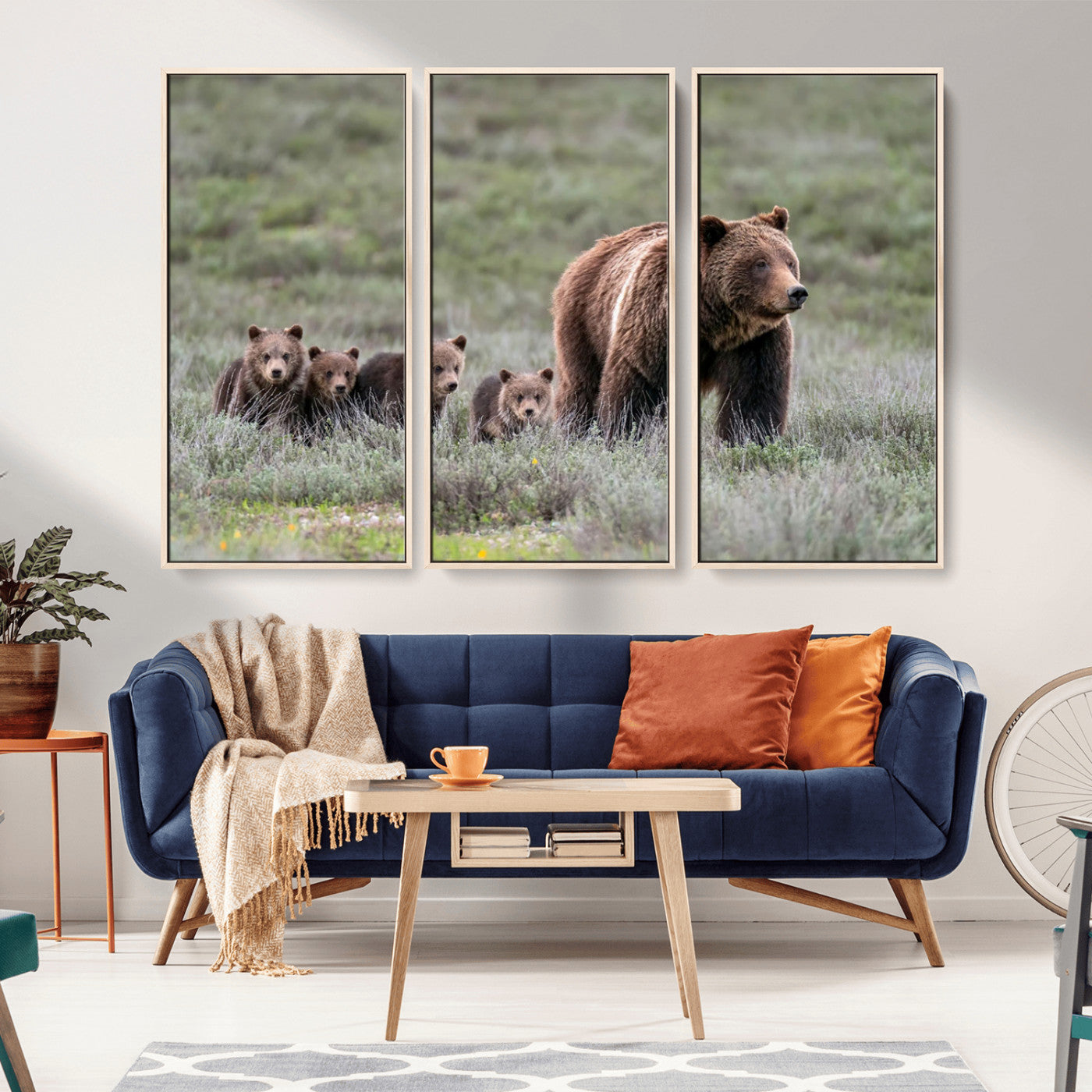 Wildlife Photography of 399 Grizzly Bear Cubs | Queen of the