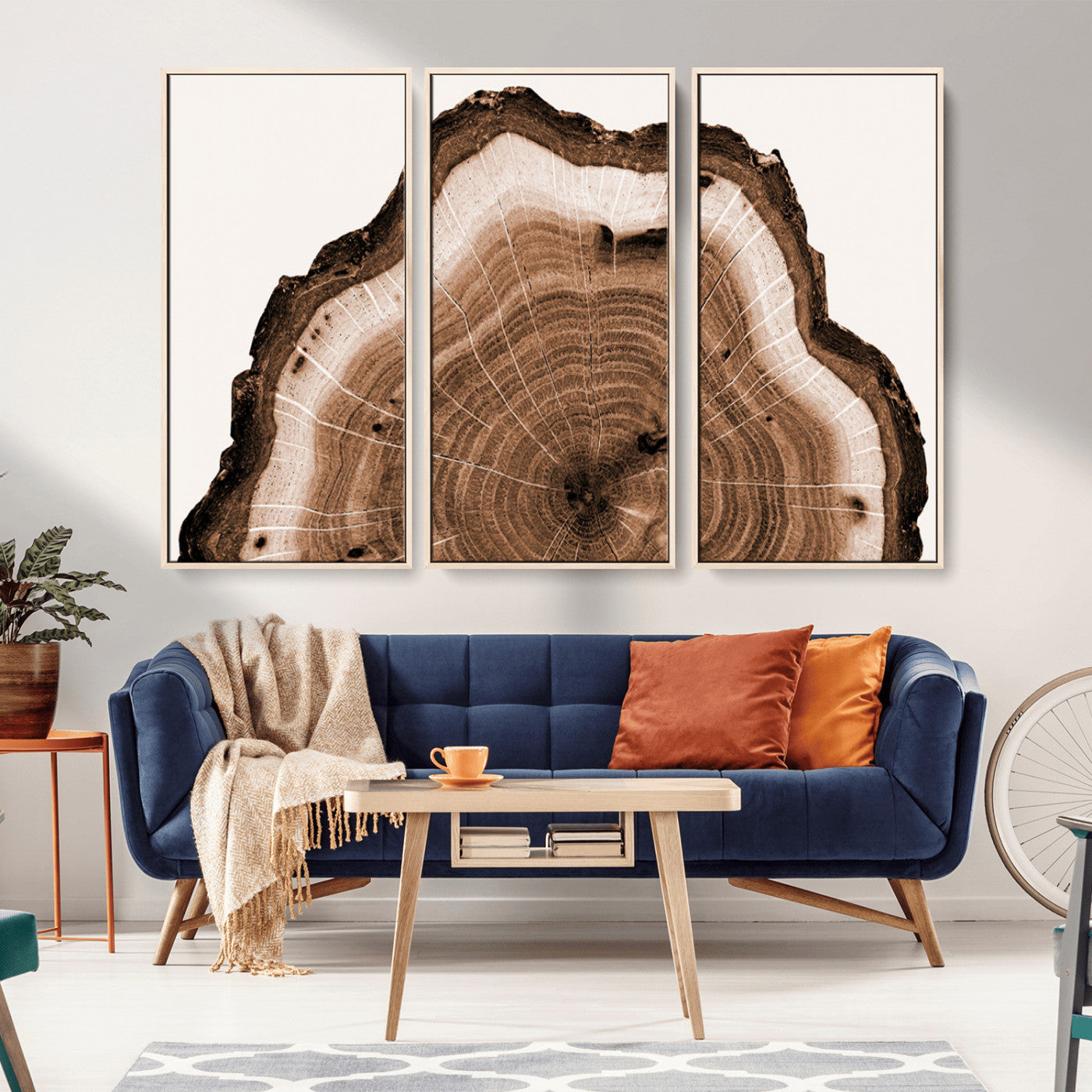 Rustic Wood Rings Wall Art | Nature-Inspired Tree Ring